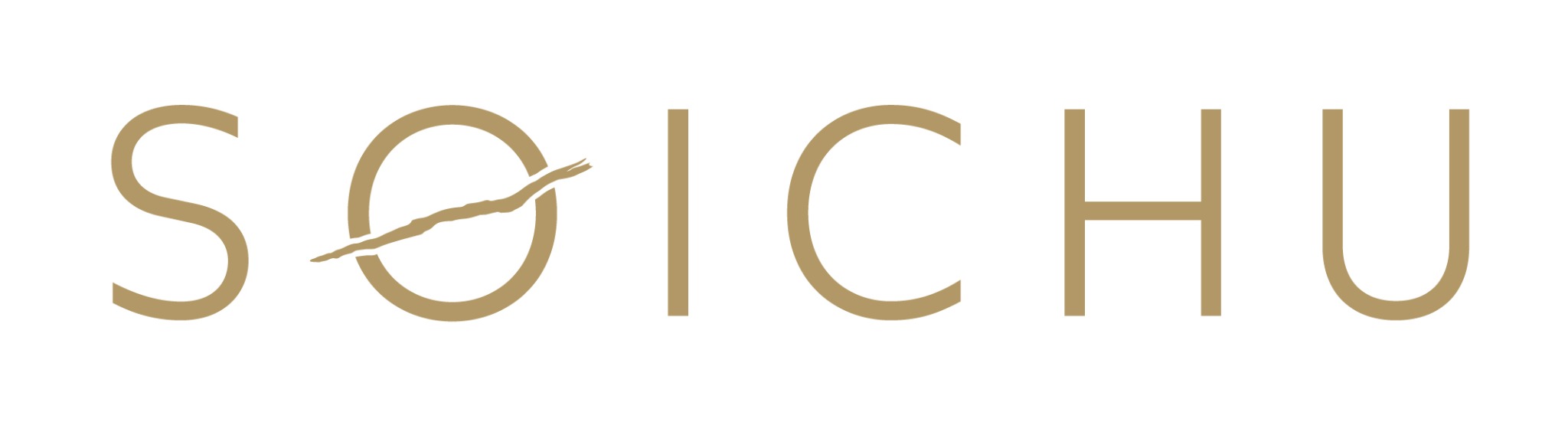 SOICHU Logo